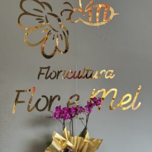 Mini Orquídea